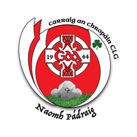 Carrickcruppen GAA Collection