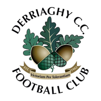 Derriaghy CC F.C. Collection