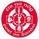 Tír na nÓg GAA